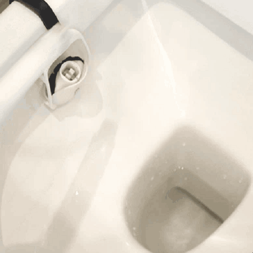 https://www.kickstarter.com/projects/flushbrush/flushbrush-an-evolution-in-toilet-cleaning